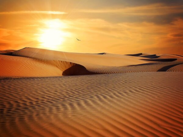 désert, sable, stérile-790640.jpg